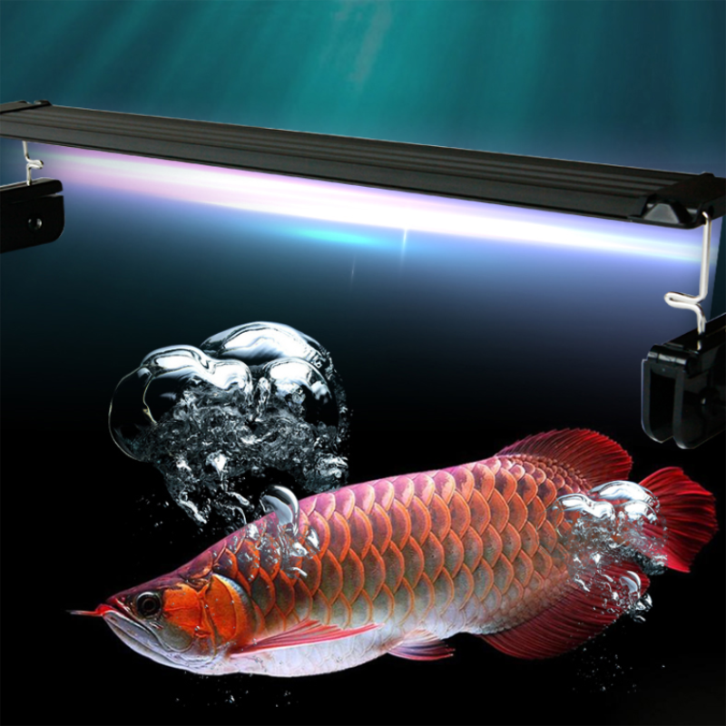Zaohetian 5054 Optional timed dimming arowana lamp Aquarium light Goldfish light led aquarium light