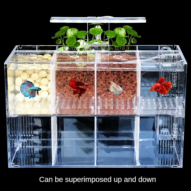 Small Fish Tank with LED Lighting and Filter Pump 5 Gallon Desktop Aquarium Starter Kits