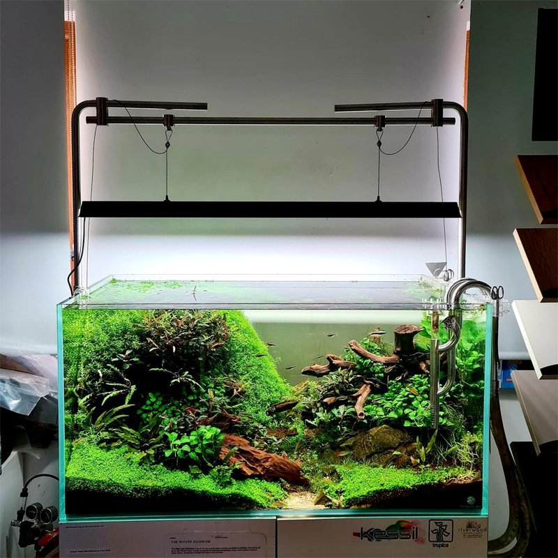 Master 80W Shade Cover APP Control Planted Aquarium Light Wrgb LED for Aquascaping Grow Lights Full Spectrum led