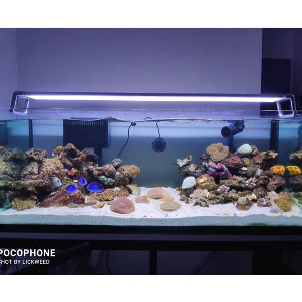 smart programmable 60CM 75CM 90CM for small tanks ready to ship lights chihiros vivid rgb 2 rgbw led aquarium light