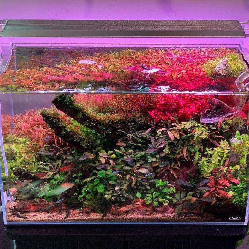 Aquarium RGB UV Full Spectrum Light LED Smart Lamp Freshwater Plant Growth Aquarium Light