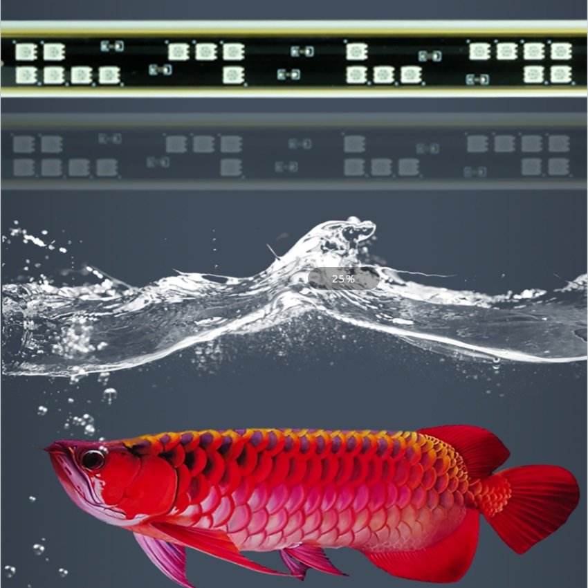 Zaohetian led submersible lights led waterproof lamp rgb led lights for aquarium aquarium lights 5054 beads