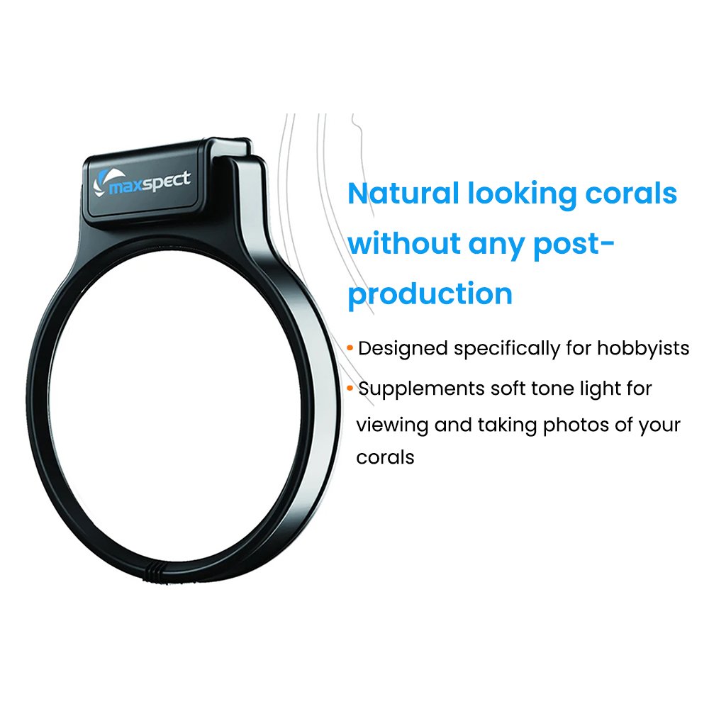 Aquarium Fish Tank Coral View 3x Magnification Magnetic Blue LED Softbox Light Pastel Reef Magnifier with Snap-on Filter Lenses