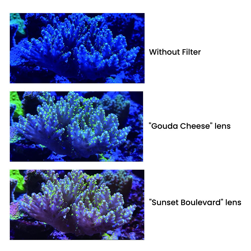 Aquarium Fish Tank Coral View 3x Magnification Magnetic Blue LED Softbox Light Pastel Reef Magnifier with Snap-on Filter Lenses