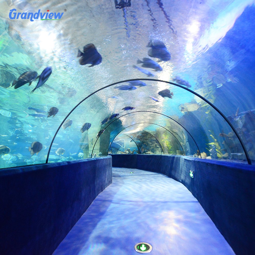 Wall-to-Wall transparent underwater acrylic glass tunnel aquarium