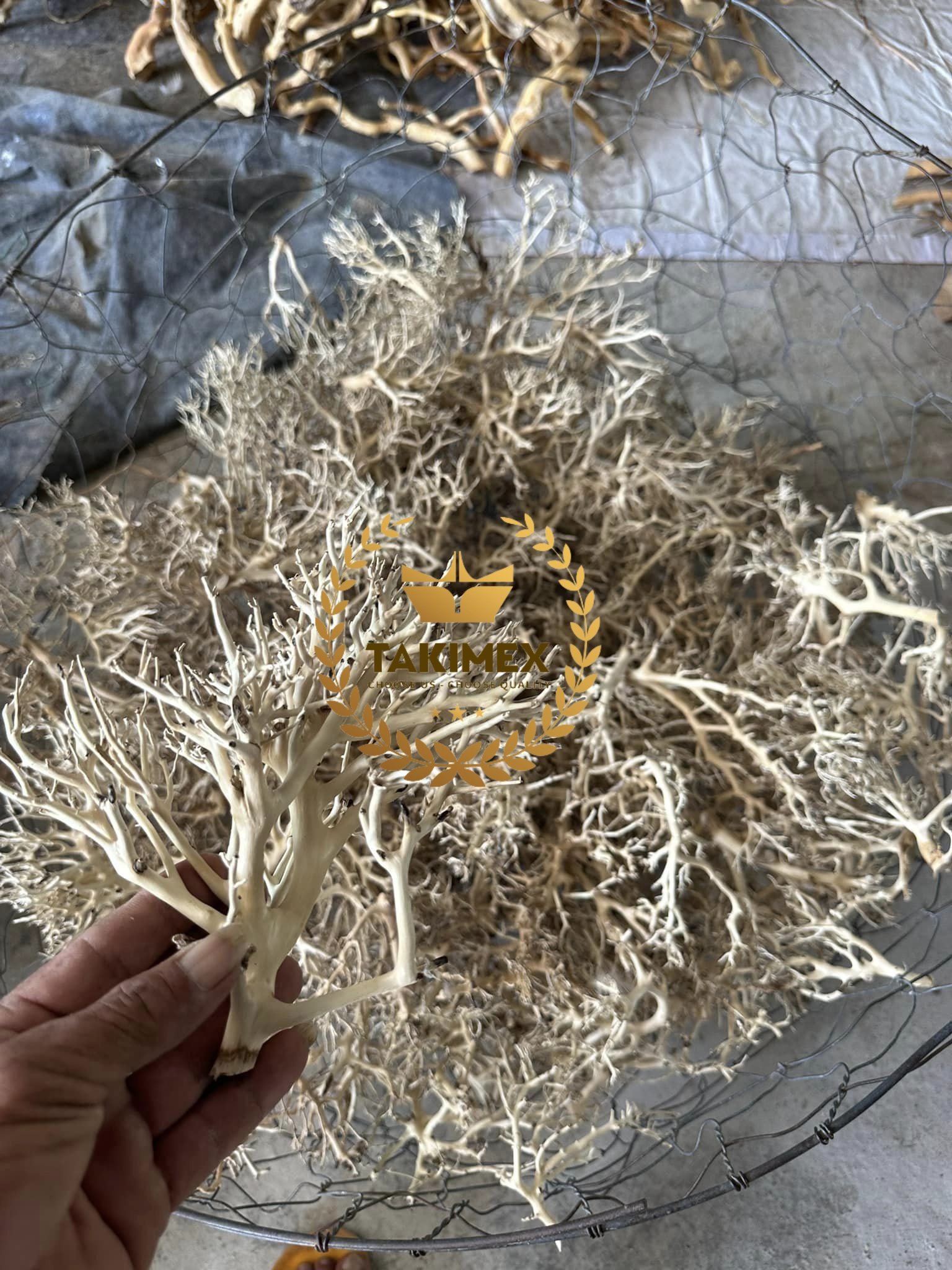 BEST PRICE Driftwood Wood Natural Trunk Fish Aquarium Driftwood Fish Tank Plant Aquarium Decoration Wood Stump Cuckoo Root Tree