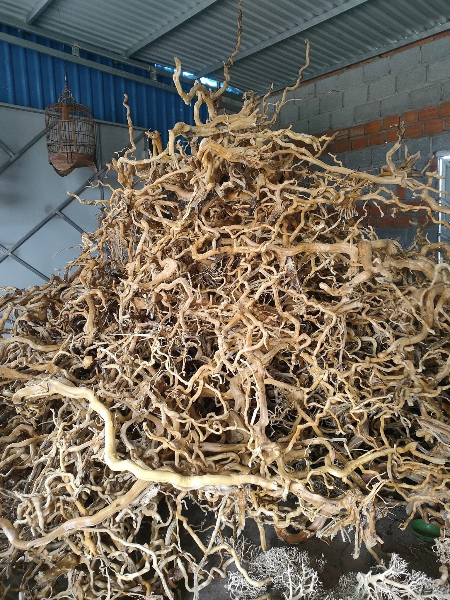 BEST PRICE Driftwood Wood Natural Trunk Fish Aquarium Driftwood Fish Tank Plant Aquarium Decoration Wood Stump Cuckoo Root Tree