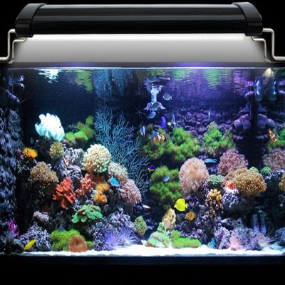 Aquarium Light Lamp For Marine Coral Reef Fish Aquarium LED Tank Lighting