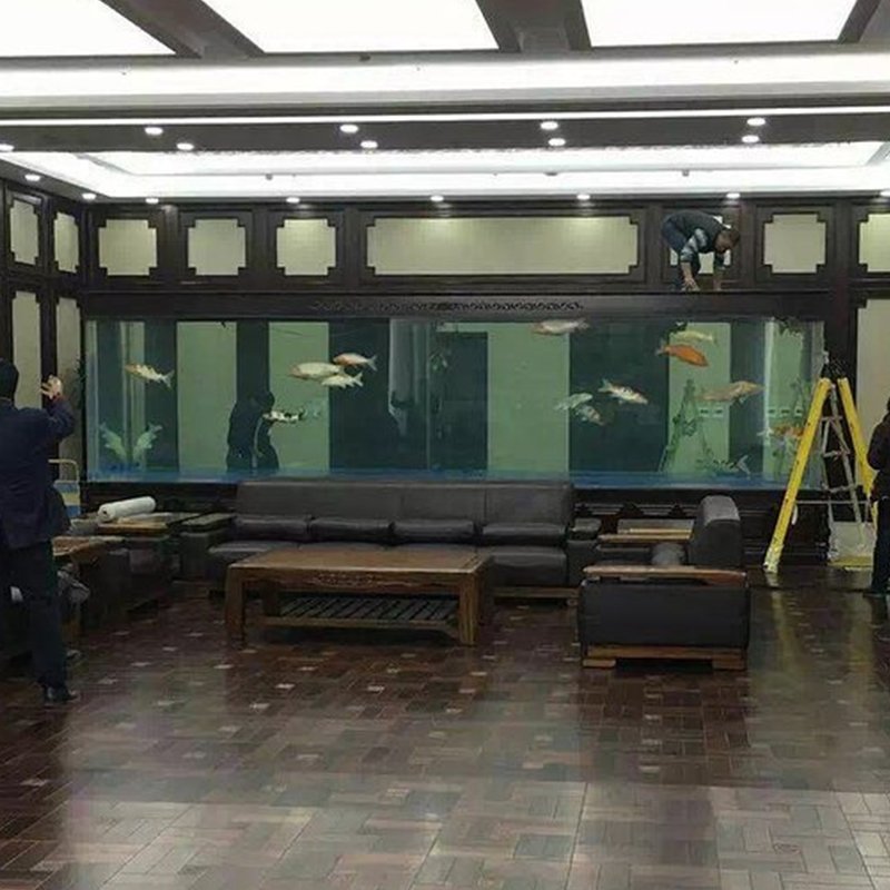 Factory Custom Innovative Acrylic Aquariums: Showcase Your Aquatic World