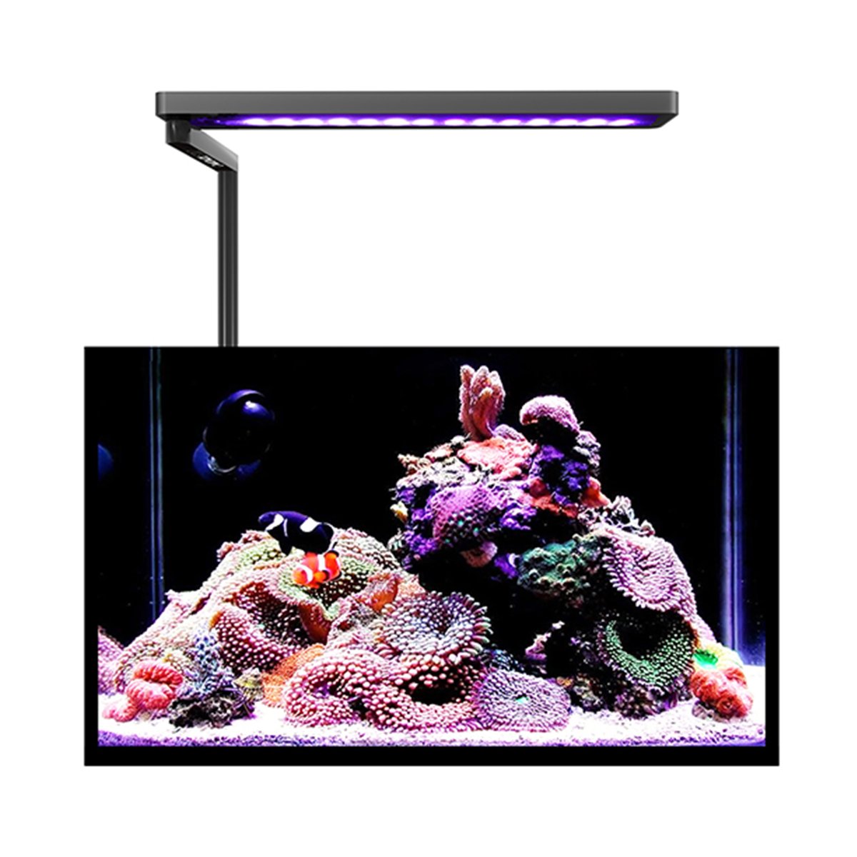 Space Aluminum Unibody Design bluetooth Build in RGB+W Six bands with Dimmable Controller Perfect Spectrum for Planted Tank