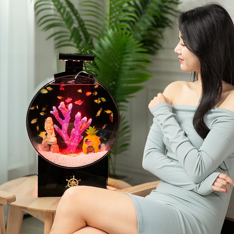 Betta Fish tank Living room small ecological goldfish tank professional super white transparent glass acrylic aquarium desktop