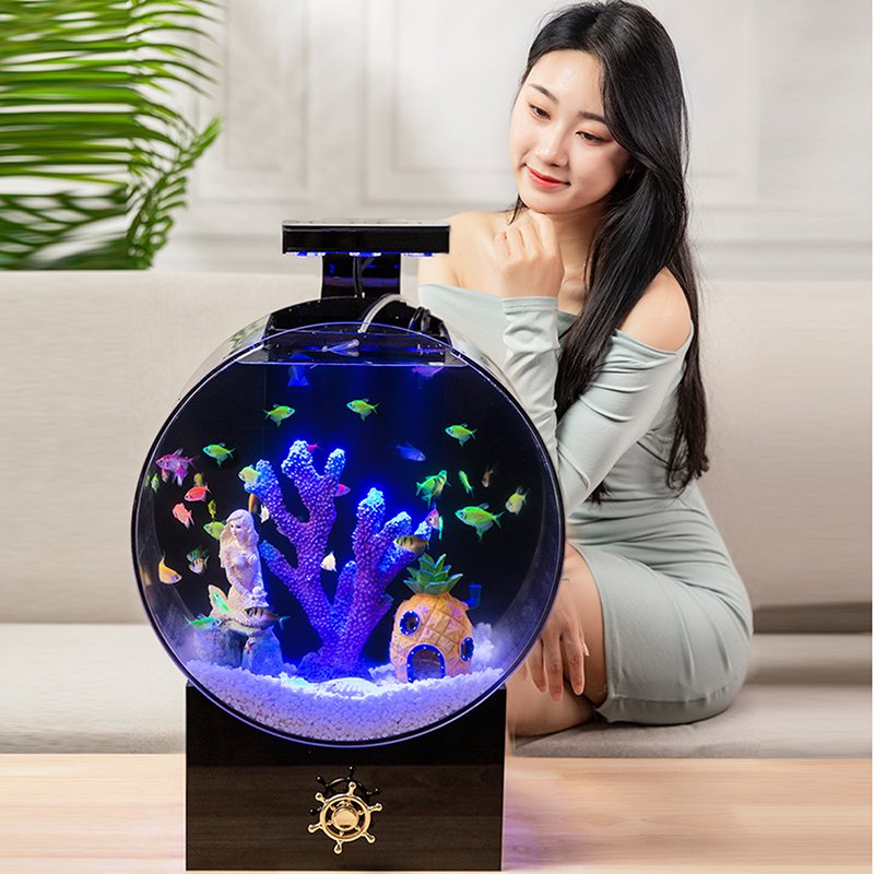 Betta Fish tank Living room small ecological goldfish tank professional super white transparent glass acrylic aquarium desktop