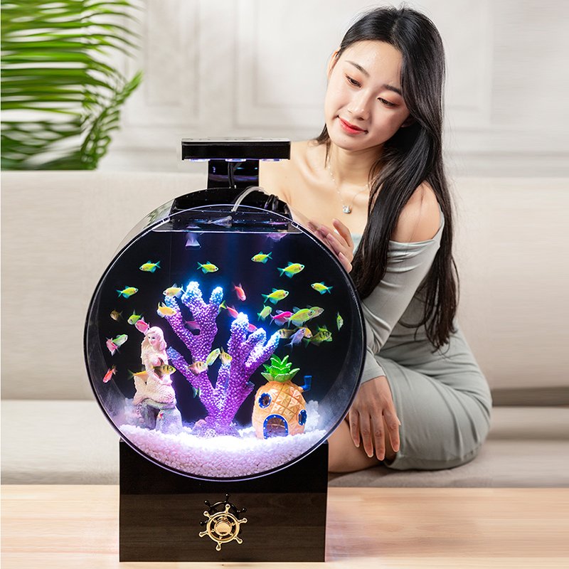 Betta Fish tank Living room small ecological goldfish tank professional super white transparent glass acrylic aquarium desktop