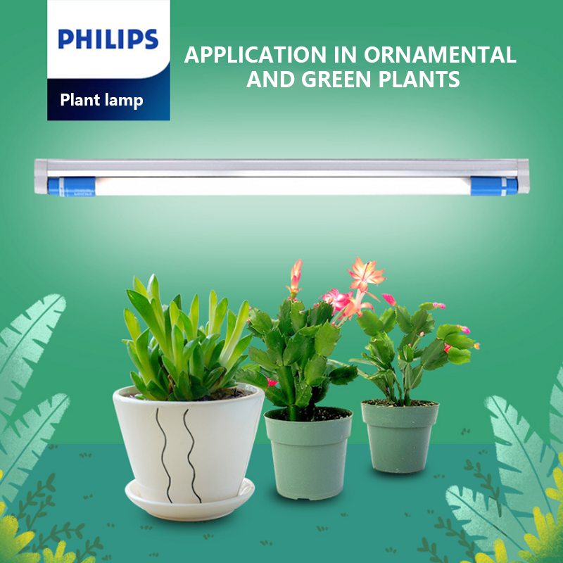 2021 New LED Grow light 24W White Blue Body Lamp For Balance Plant Growth And Ornamental Plants PHILIPS LED T5 24W