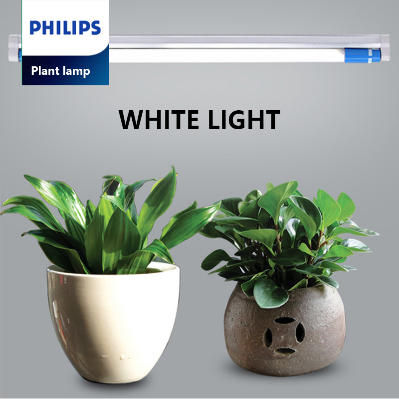 2021 New LED Grow light 24W White Blue Body Lamp For Balance Plant Growth And Ornamental Plants PHILIPS LED T5 24W