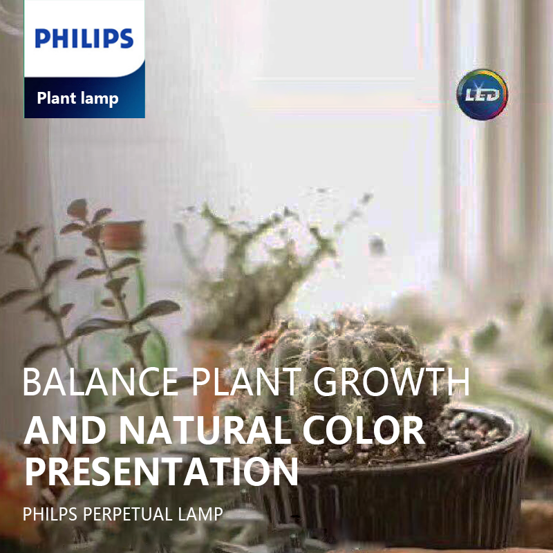 2021 New LED Grow light 24W White Blue Body Lamp For Balance Plant Growth And Ornamental Plants PHILIPS LED T5 24W