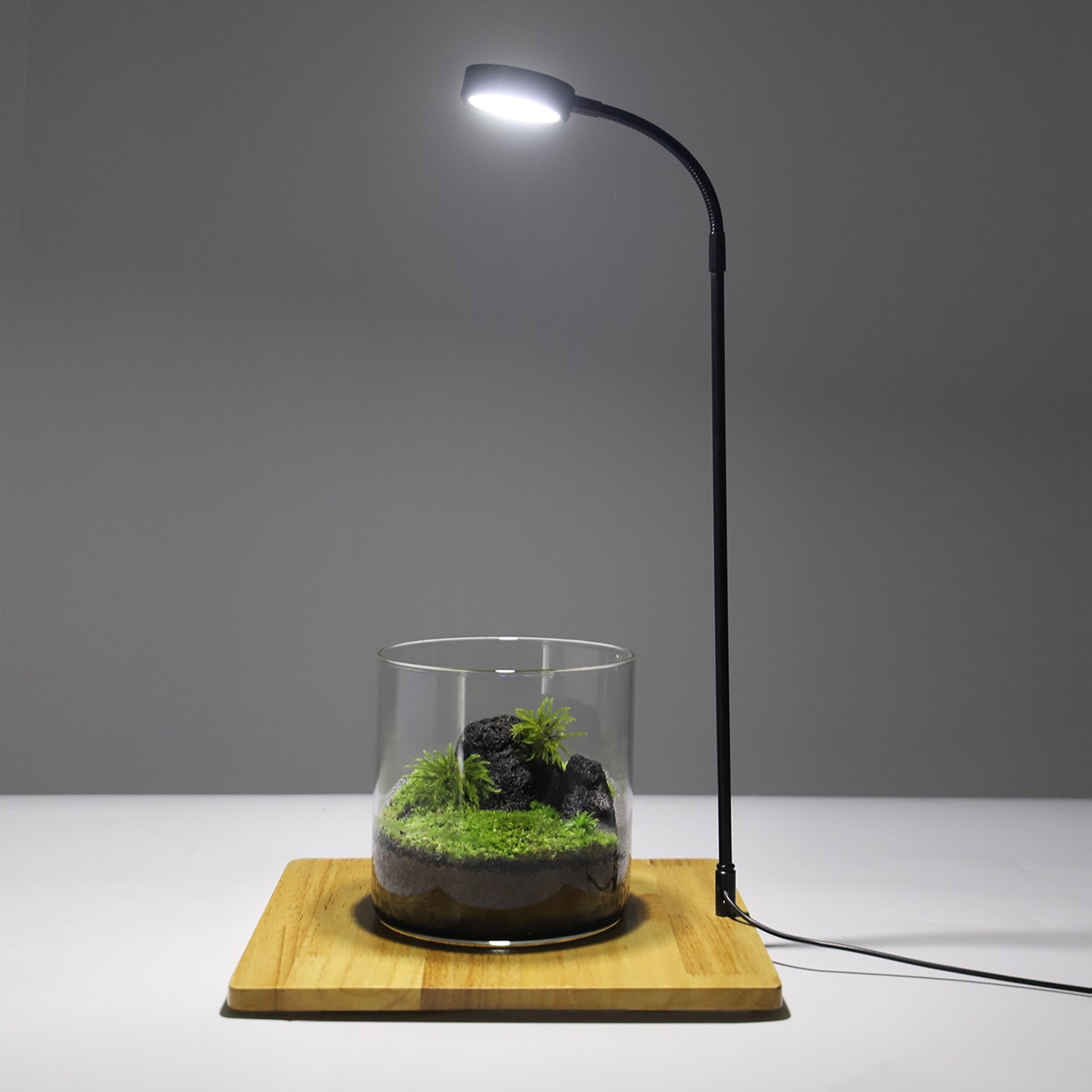 China Factory Directly Best Sell LED Aquarium Lamp Plants Growth Aquarium Lighting for Fish Tank