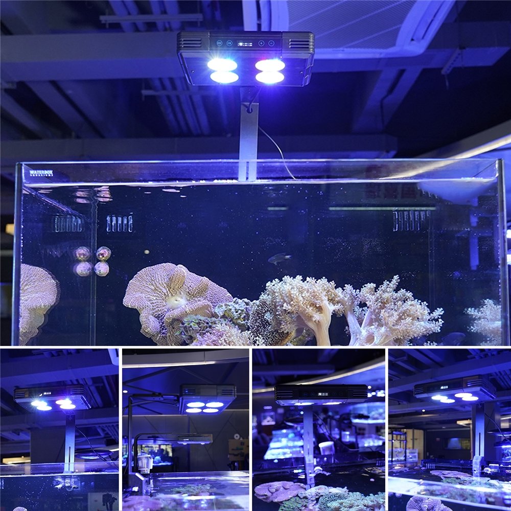 GAKO aquatics Sunrise Sunset 52W saltwater dimmable easy control coral reef light led aquarium
