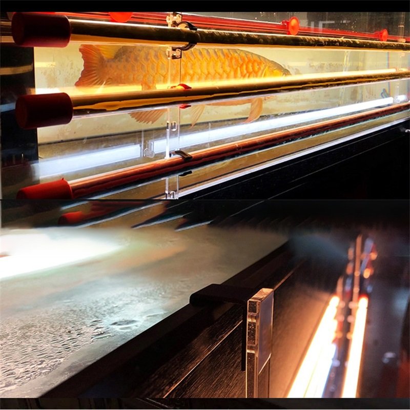 Zaohetian submersible UV arowana fluorescent lamp arowana tanning lamp manufacturer fish tank tan light