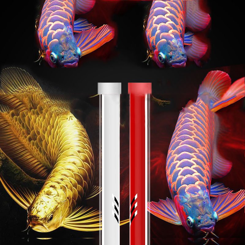 Mayin Brand Arowana Hair Color Lamp 13000K Fish Tank Dragon Fish Brightening LED Aquarium Light
