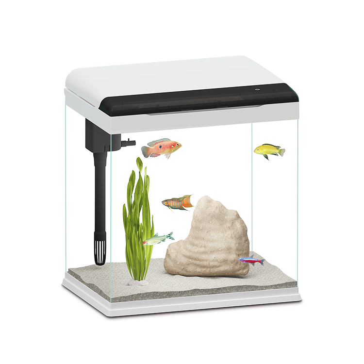 New design Smart LCD display luxury betta fish tank desktop mini glass aquarium tank