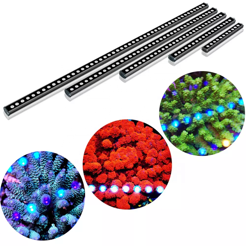 LED aquarium light sunset sunrise simulation 24inch 36inch 48inch 60inche rgbw marine LED reef lights aquarium fish tanks