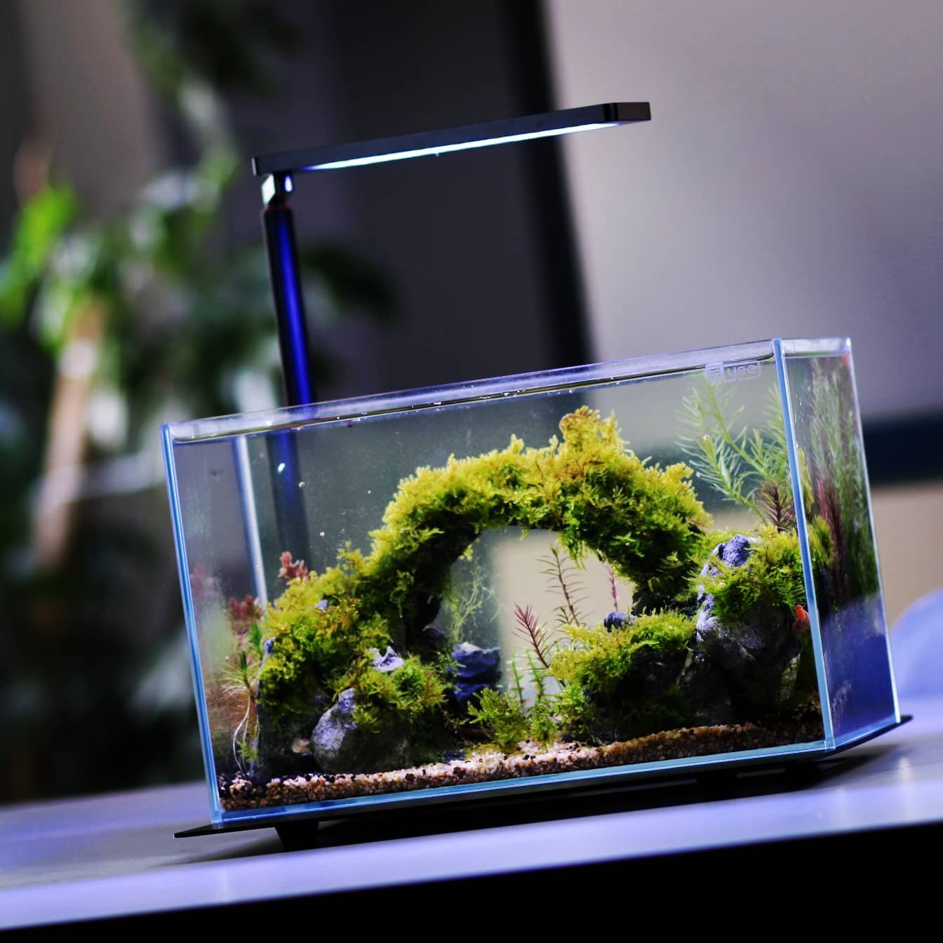 Micmol 20W APP Control Dimmable WRGB Full Spectrum UV LED Aquarium Light Good for Plant Growth