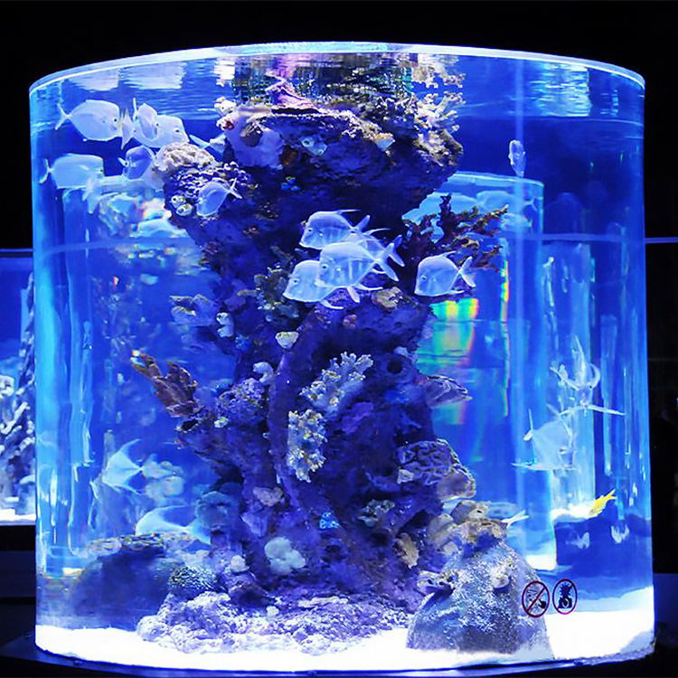 shallow acrylic box aquarium handbag acryl sump vertical stones crystal