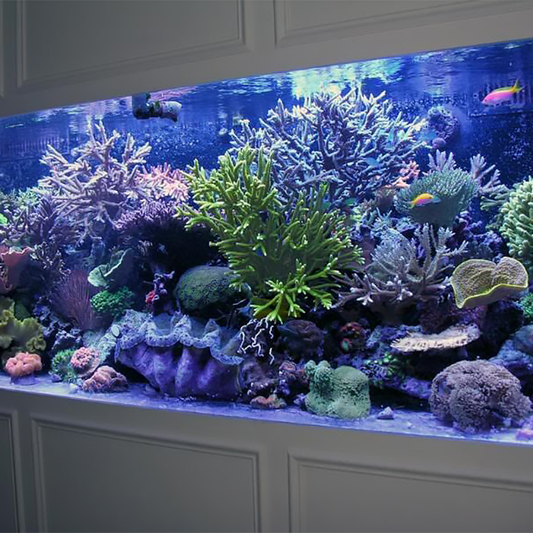 shallow acrylic box aquarium handbag acryl sump vertical stones crystal