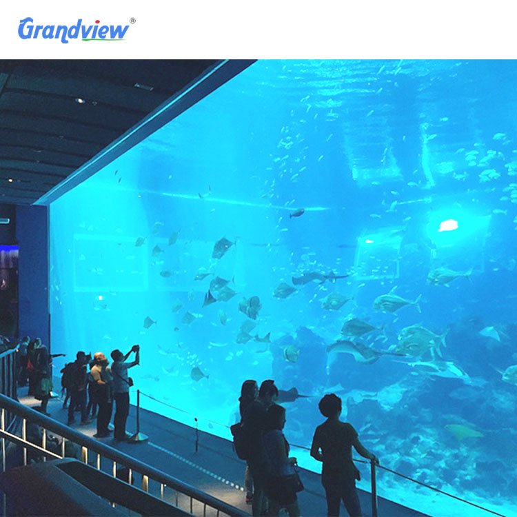 Custom dimensions clear saltwater marine aquarium acrylic fish tank