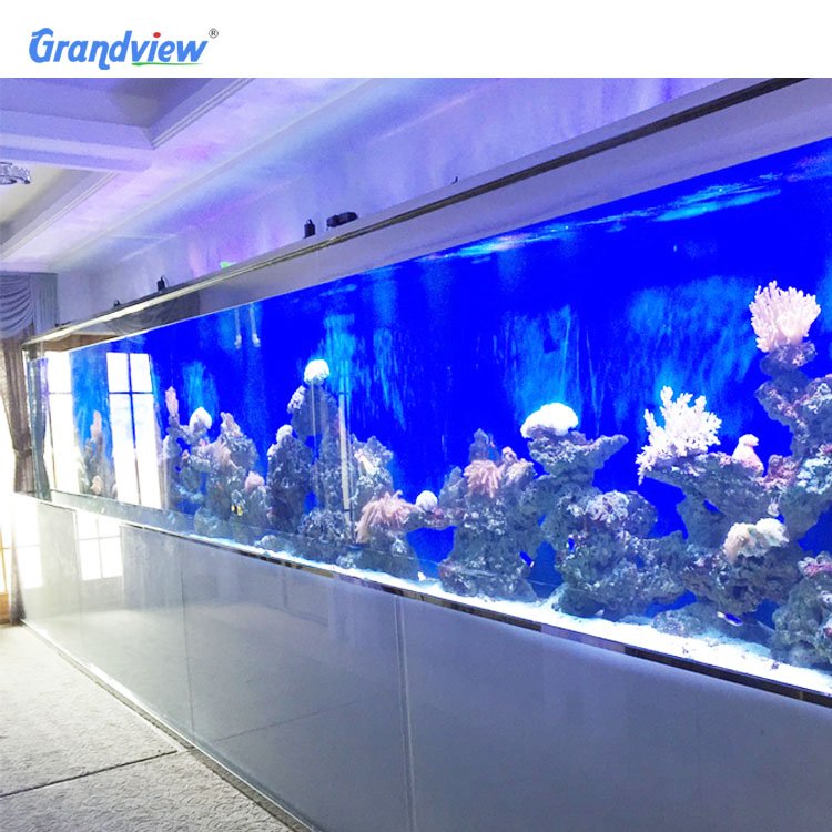 Custom dimensions clear saltwater marine aquarium acrylic fish tank