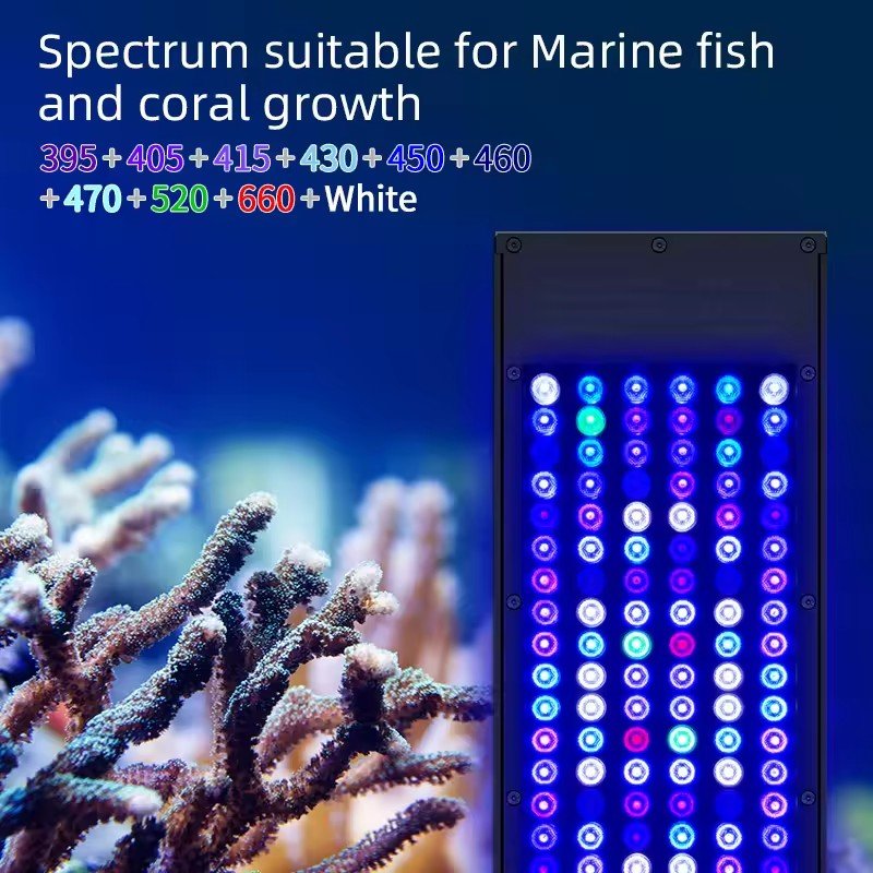 Premium Quality LED Aquarium Light Coral Reef Light APP Control Rgb Full Spectrum Lamp For Saltwater Tank