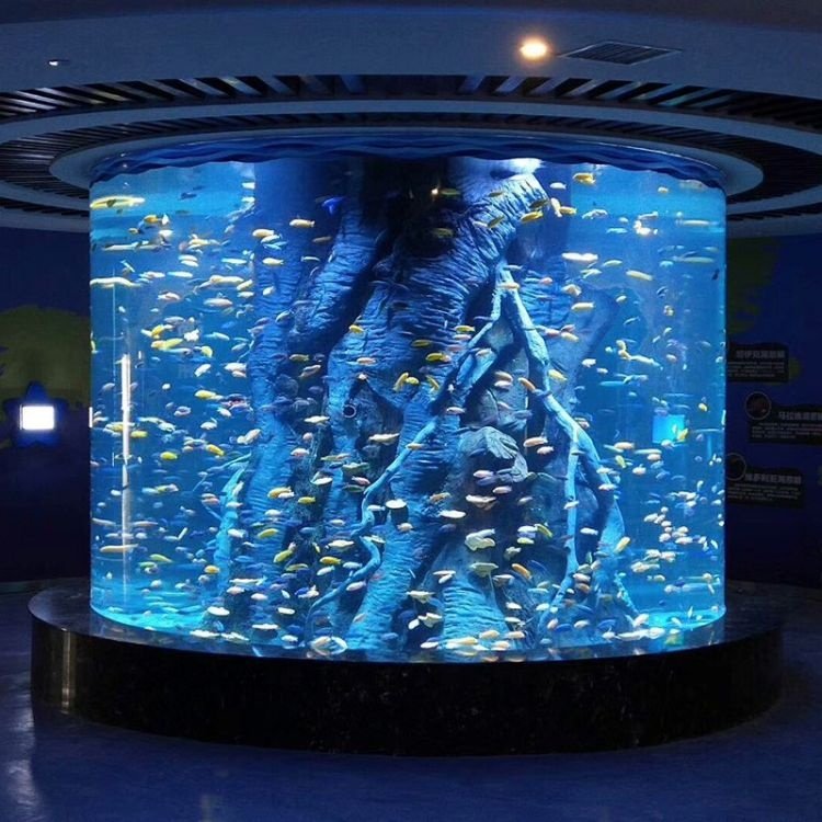 11M 60MM Thick Transparent Acrylic Glass Aquarium Fish Tank for Sight View Projects