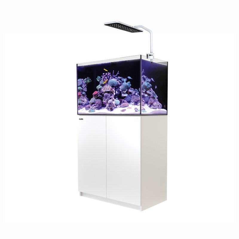 2024MicMol 30W Full Spectrum High Lumen LED Aquarium Light Smart control for Marine and Planted Tank