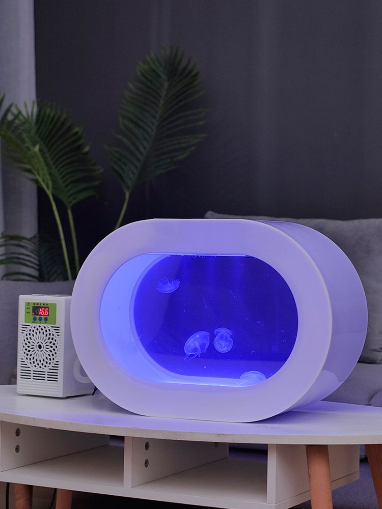 Spot goods offer top table viewing aquarium jellyfish ecological tank black jellyfish tank multi-purpose acryl tank