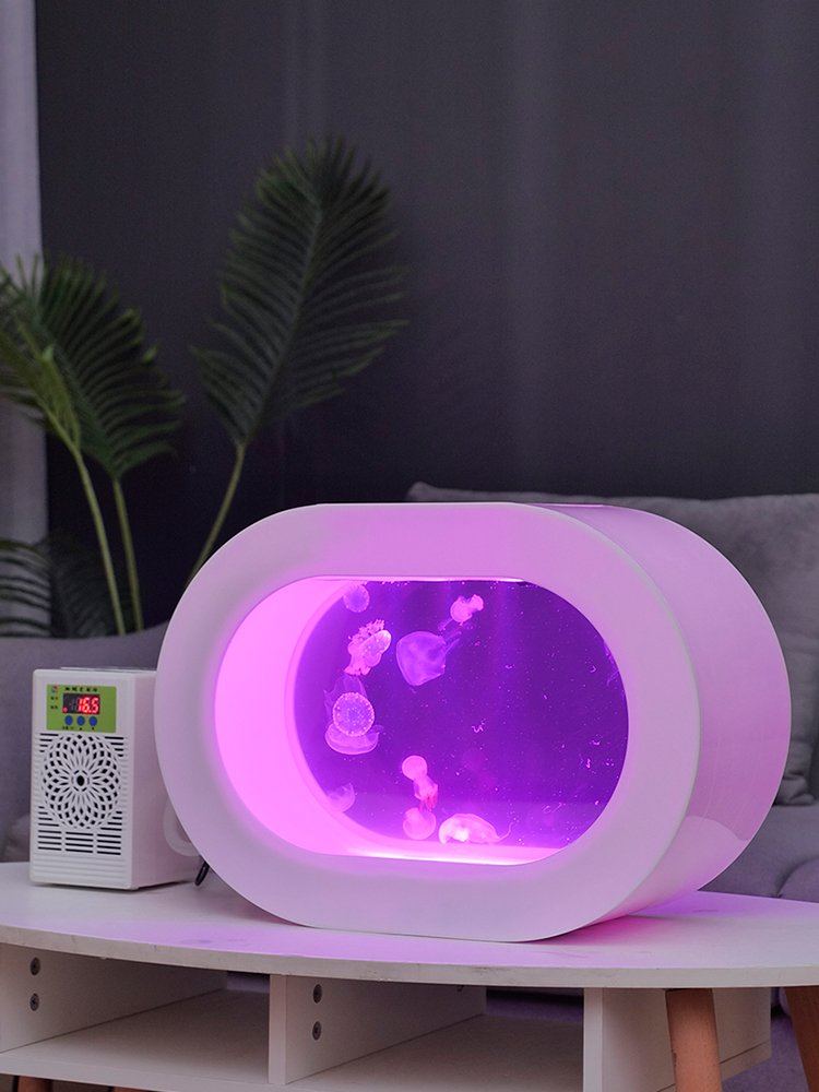 Spot goods offer top table viewing aquarium jellyfish ecological tank black jellyfish tank multi-purpose acryl tank