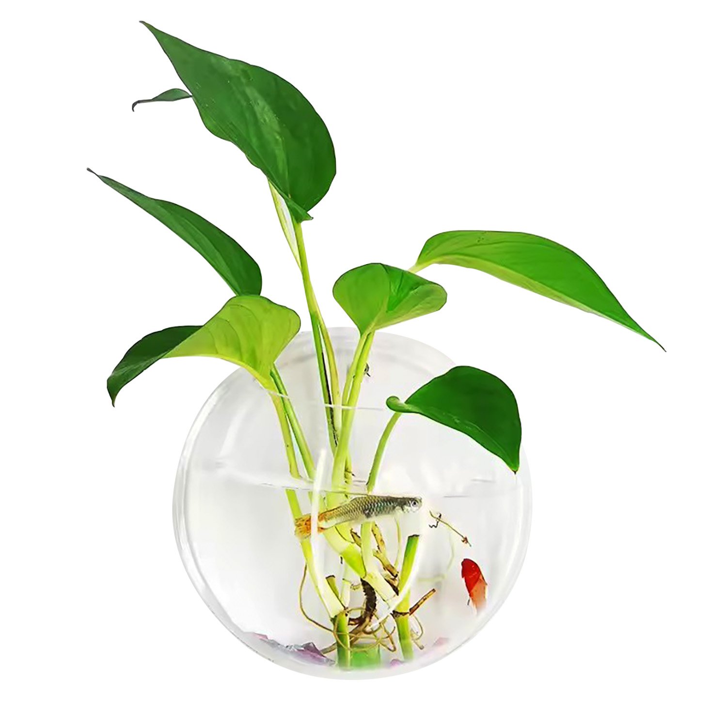 2pcs 35.5cm popular creative transparent acrylic hanging fish tank wall-mounted transparent acrylic flower pot decoration