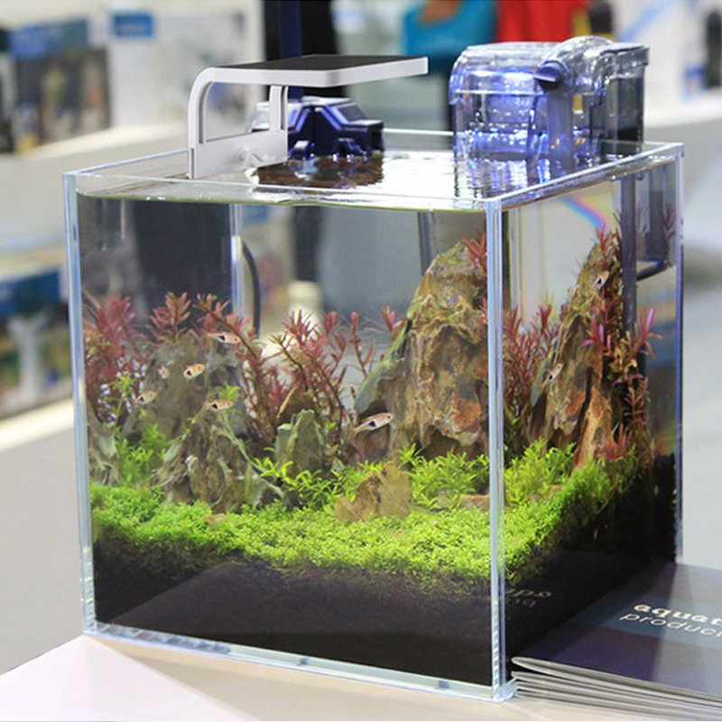Aquarium LED lights aquatic plants, moss, water, aquarium, fish tank, plant decoration