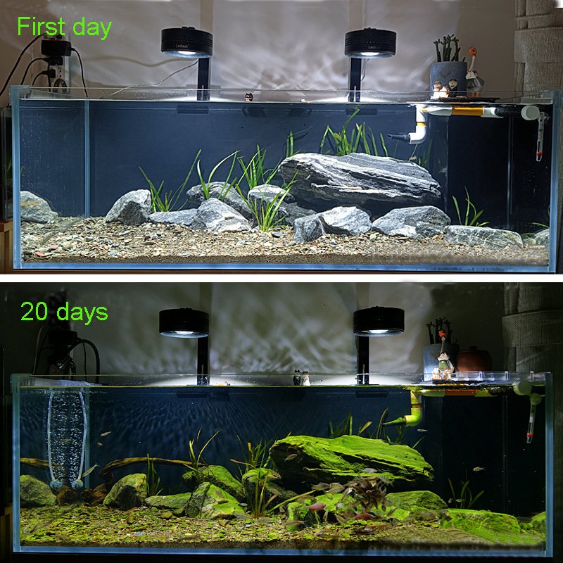 LEDESK Aquarium Tank Fish LED Lighting Top Filtering System Fresh Water Led Lights For Glass Terrarium Light Adjust Brightness