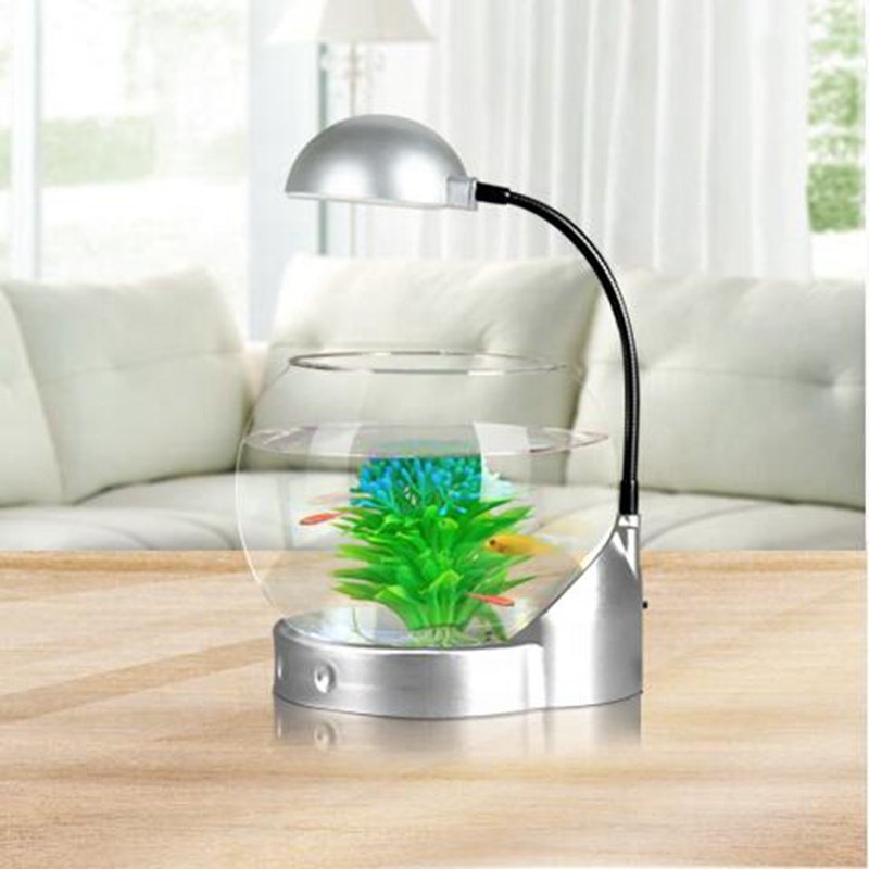 Globe Shaped Mini Aquarium With Pedestal Base