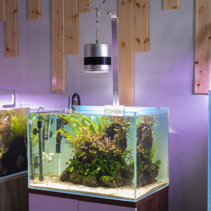 chinese led aquarium light with chihiros aquarium plant light smart phone control for freshwater aquatic tank