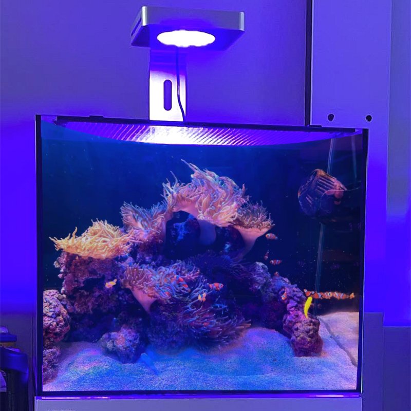 Micmol G4 Pro 4 Channel Adjust Marine Aquarium UV Lighting WiFi Control