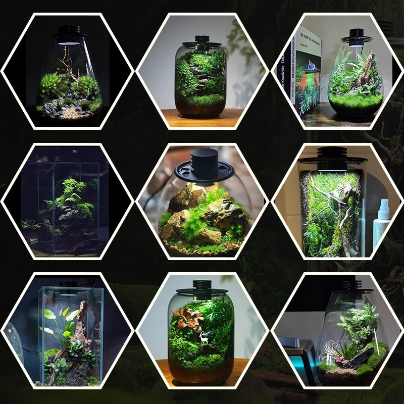 LED Bryophyte Light Breathable Ecological Bottle Light Glass Microlandscape Spotlight USB Fish Tank light Water Grass Lamp
