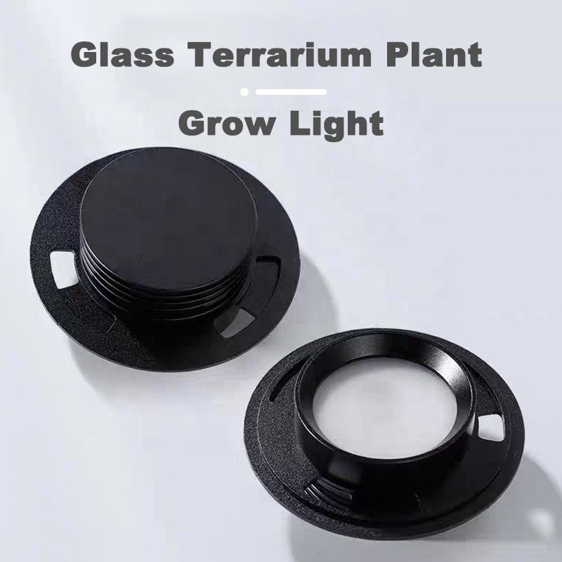 LED Bryophyte Light Breathable Ecological Bottle Light Glass Microlandscape Spotlight USB Fish Tank light Water Grass Lamp