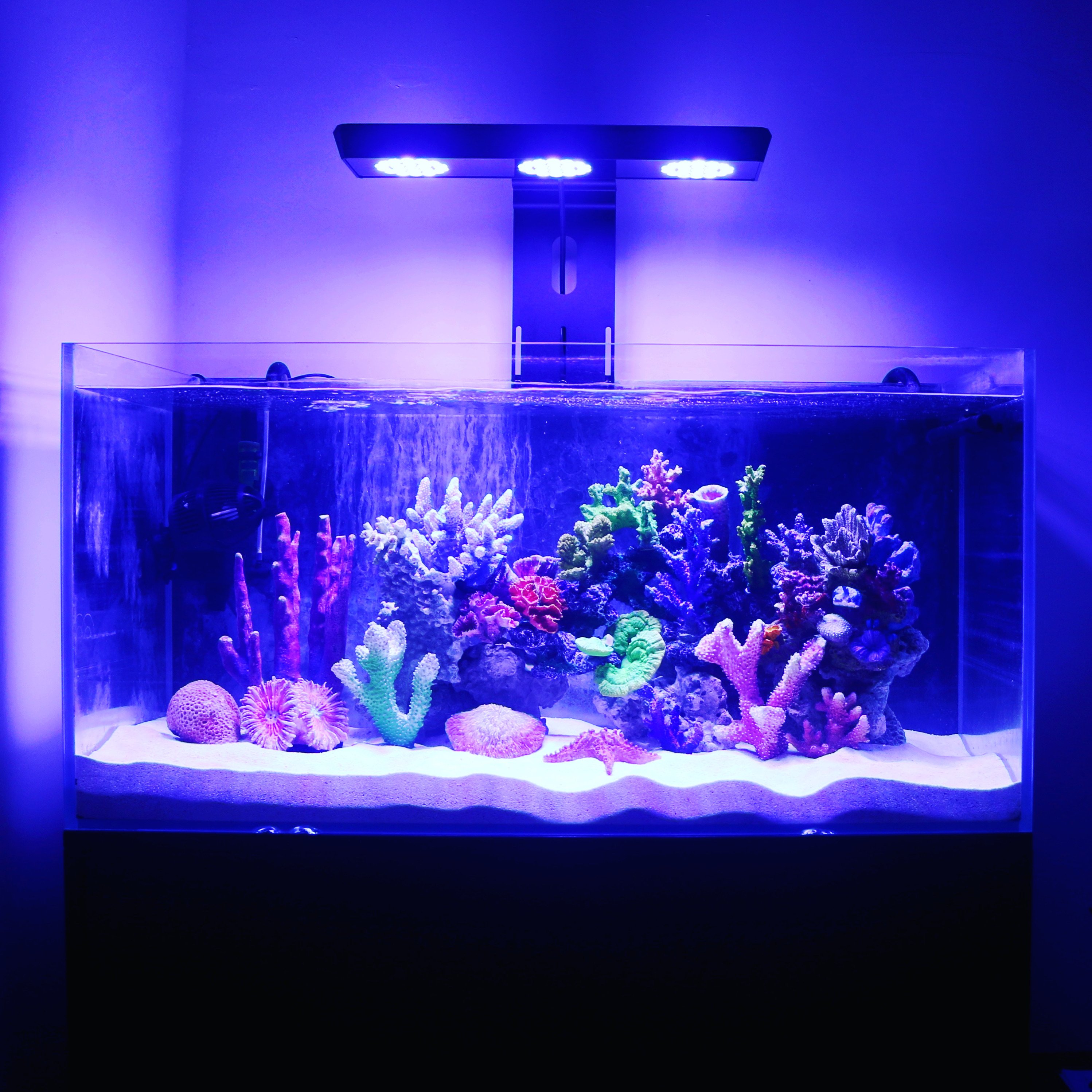 2024 New Popular MicMol Thor Pro 180W APP Control Full Spectrum Aquarium Marine LED Lights for Saltwater Coral Reef Tank