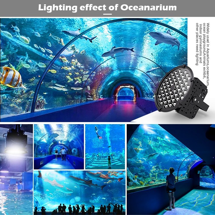 High Power 350W 500W 1000W Marine Aquarium Led Lighting IP65 Long Lifespan Reef Light Led Aquarium Light