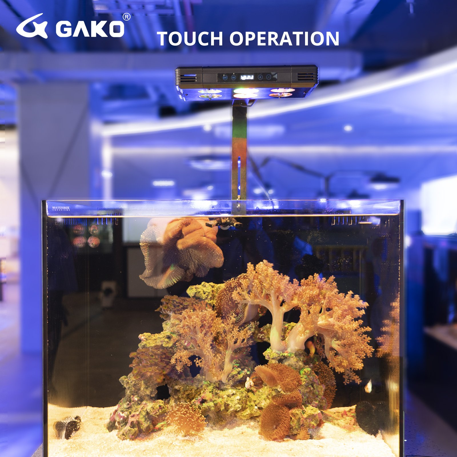 GAKO A075 75W Led Saltwater Aquarium Lighting, Sunrise Sunset Aluminum Touch Control Marine Lights for Coral Reef Fish Tank
