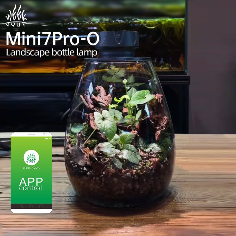 Hot Sales WEEK AQUA Mini7Pro-O Landscape bottle lamp moss microlandscape for aquarium fish tank microlandscape Reptile tank