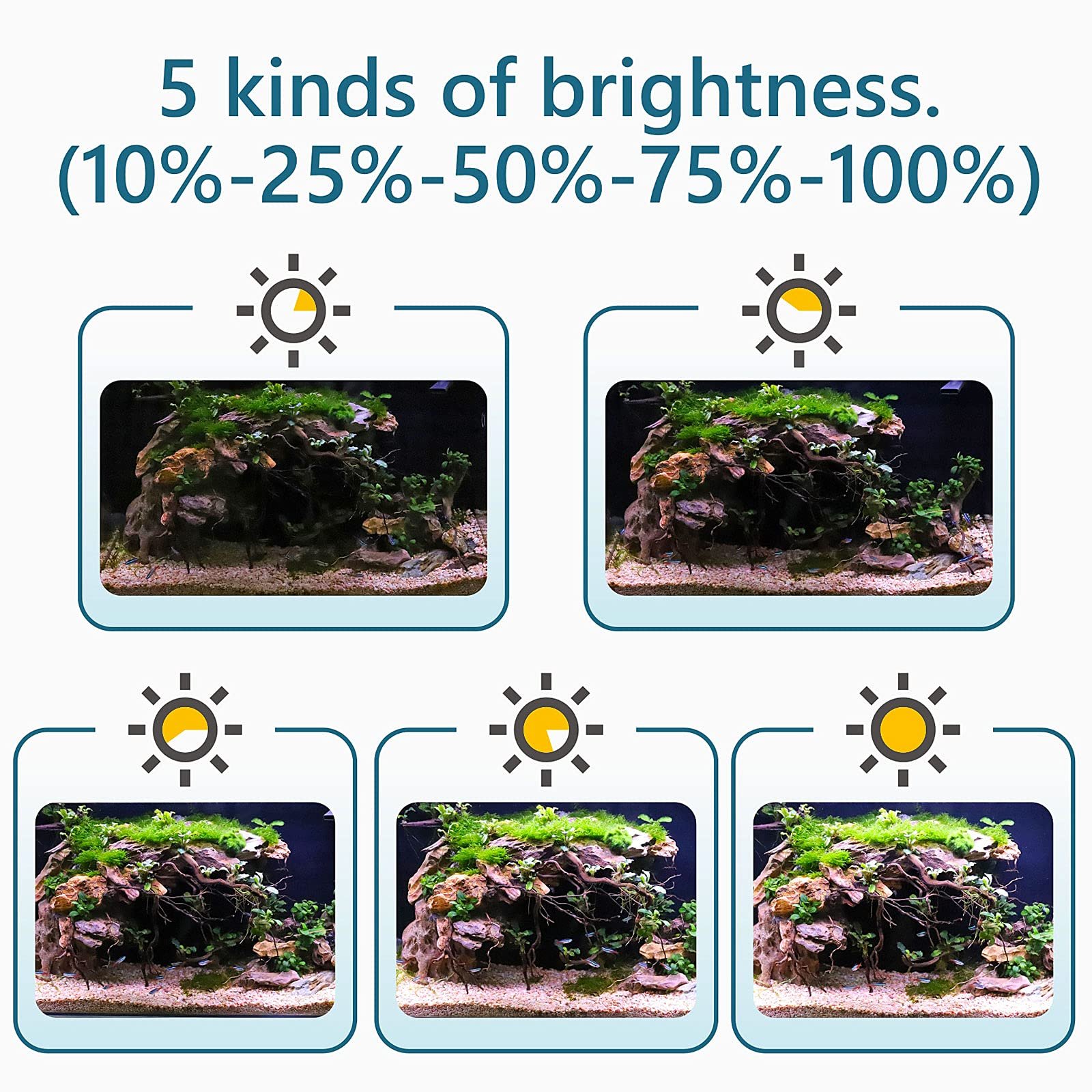 Clip On 24/7 Lighting Aquarium LED Light 14W Sunrise Daylight/Moonlight and DIY Mode 7 Colors for Fish Planted Tank Light