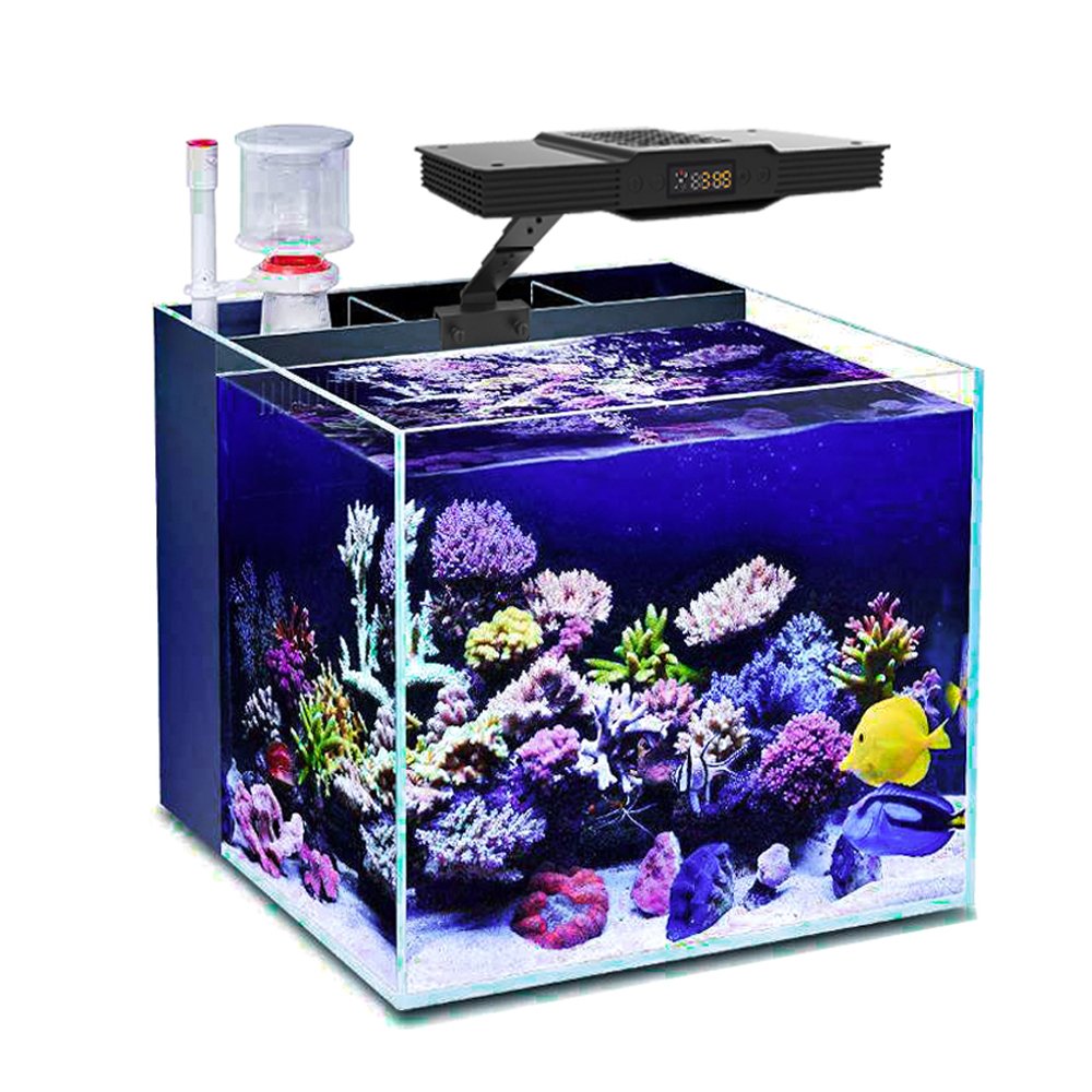 Hot Sale Spectra Aquaknight V2 V3 Sunrise Sunset Marine Reef Light Full Spectrum Blue UV LED For LPS SPS